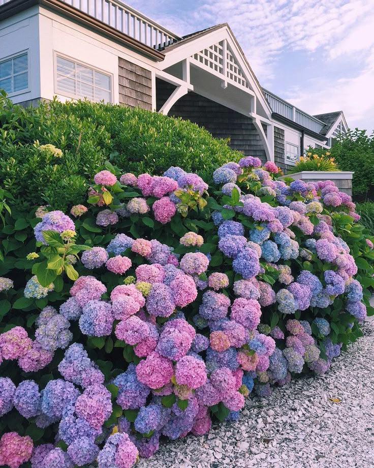 Morning Dew: Freshness Blooms in Spirals
